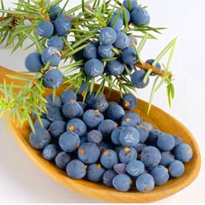 Juniper Berries - Whole