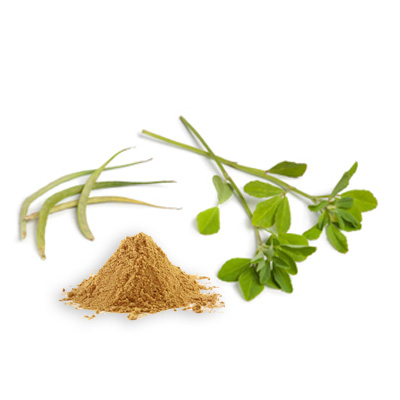 SPECIAL ITEM-Fenugreek - Ground