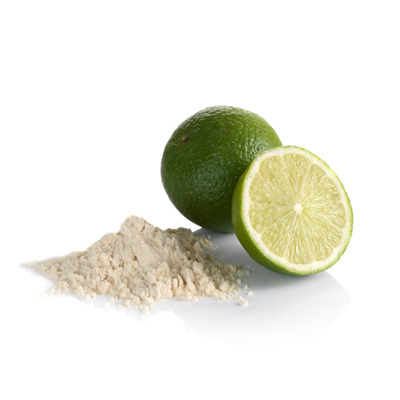 Lime Juice Powder - Dehydrated