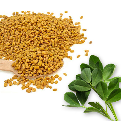 SPECIAL ITEM-Fenugreek - Whole