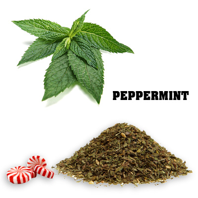 Peppermint - Cut