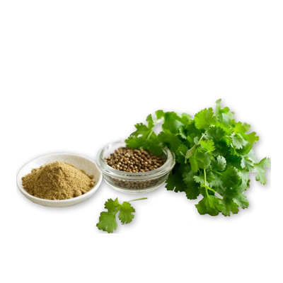 Coriander - Ground