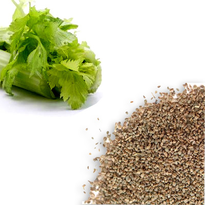 Celery Seed Whole - Whole